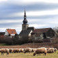 Kirche mit Schafen